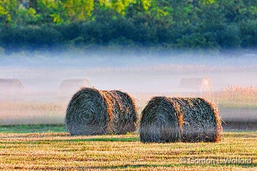 Mist Beyond Bales At Sunrise_27458.jpg - Photographed near Smiths Falls, Ontario, Canada.
